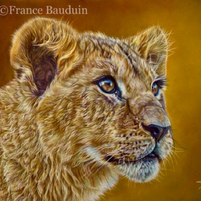 Lion cub portrait - 35.5 hours 
Brown Pastelmat
9.5" x 13.5"
Ref: My own photo